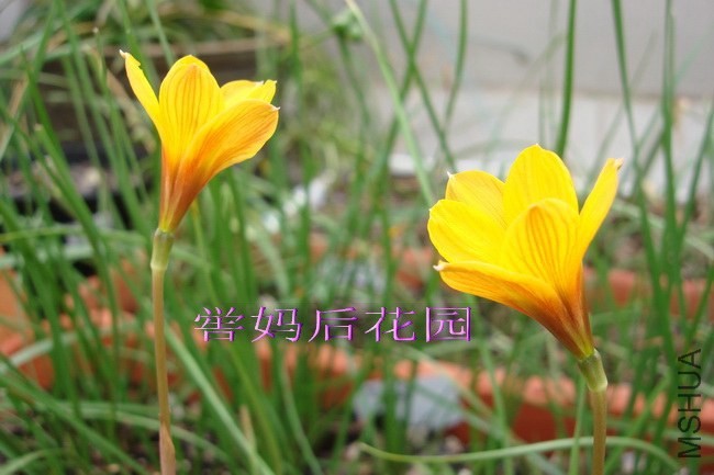 DSC02321_������С.jpg