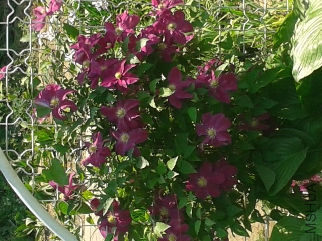 20140507_110615.jpg
