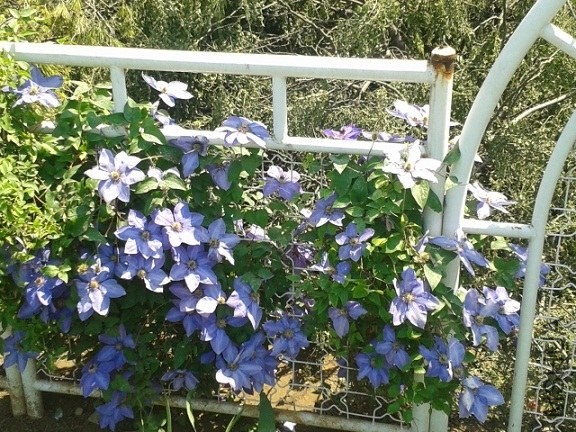 20140507_11065511.jpg
