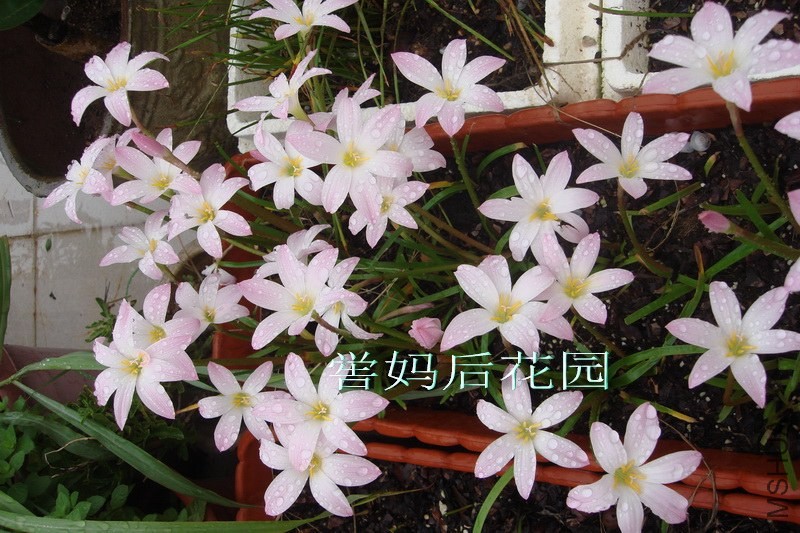 DSC06286_������С.jpg