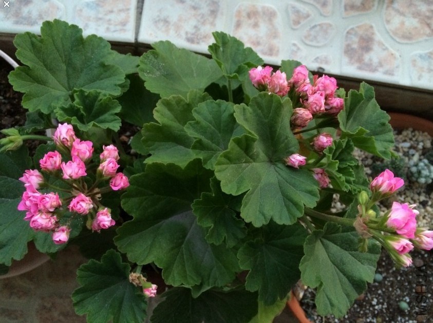 QQͼƬ20140508132428.jpg