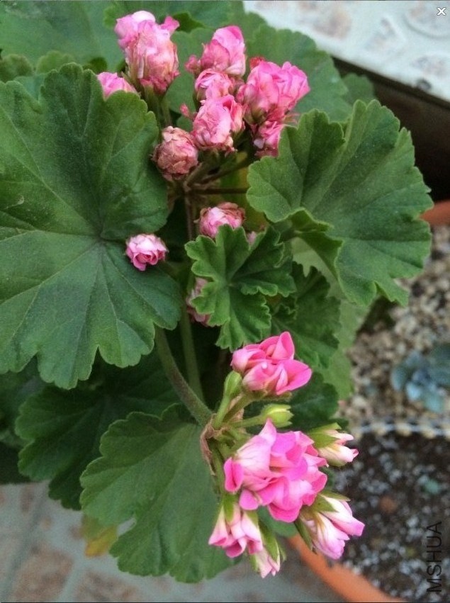QQͼƬ20140508132333.jpg