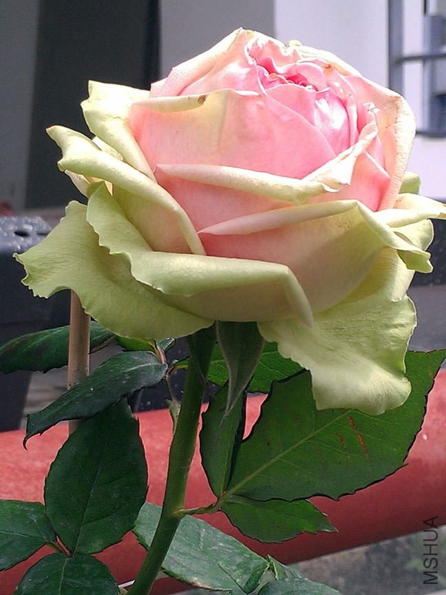 IMAG7893.jpg