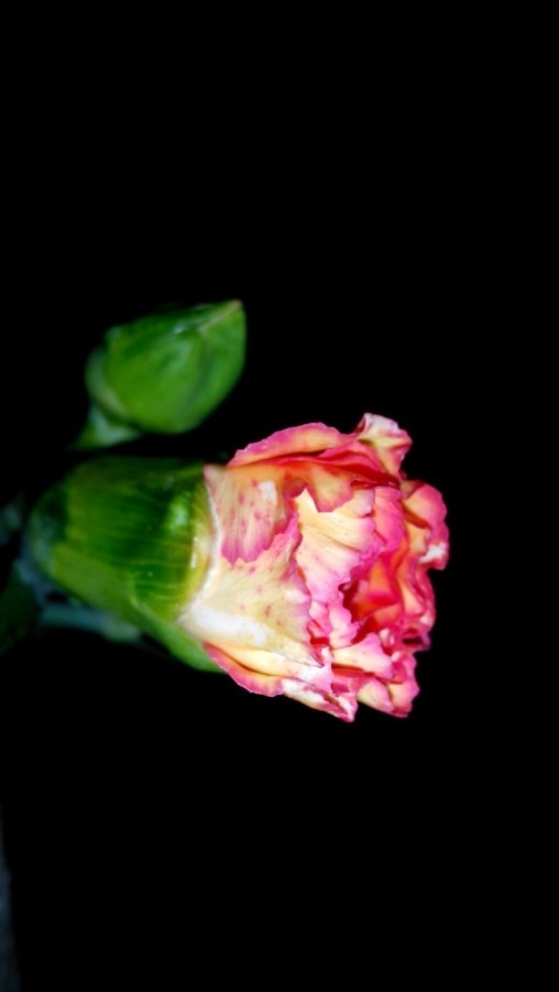 �����ĵģ�2014-04-18