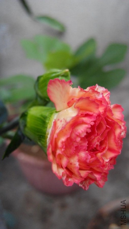 �����ĵ�2014-04-18