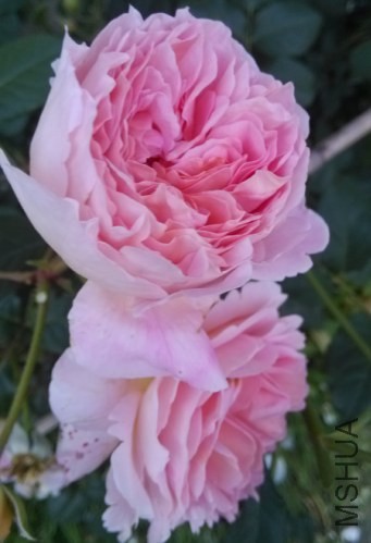 QQ��ͼ20140508194045.jpg