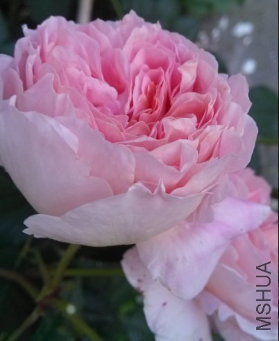 QQ��ͼ20140508194229.jpg