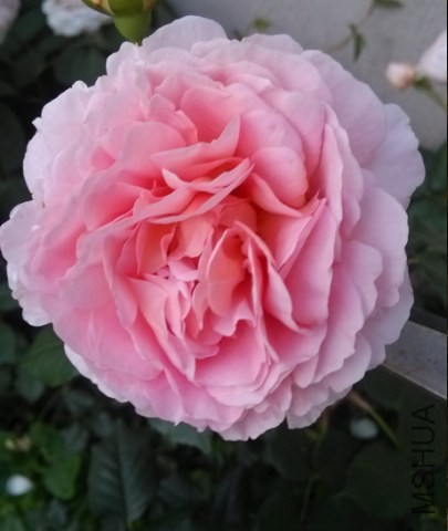 QQ��ͼ20140508194300.jpg