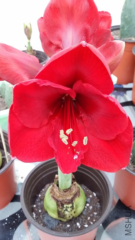 20140508_173116_����.jpg