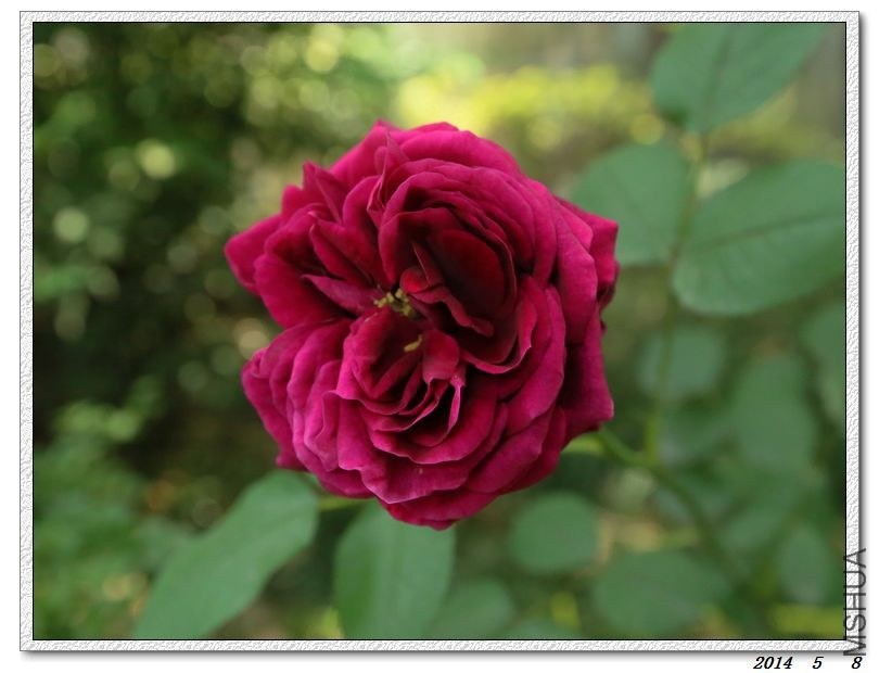 2014050805.jpg