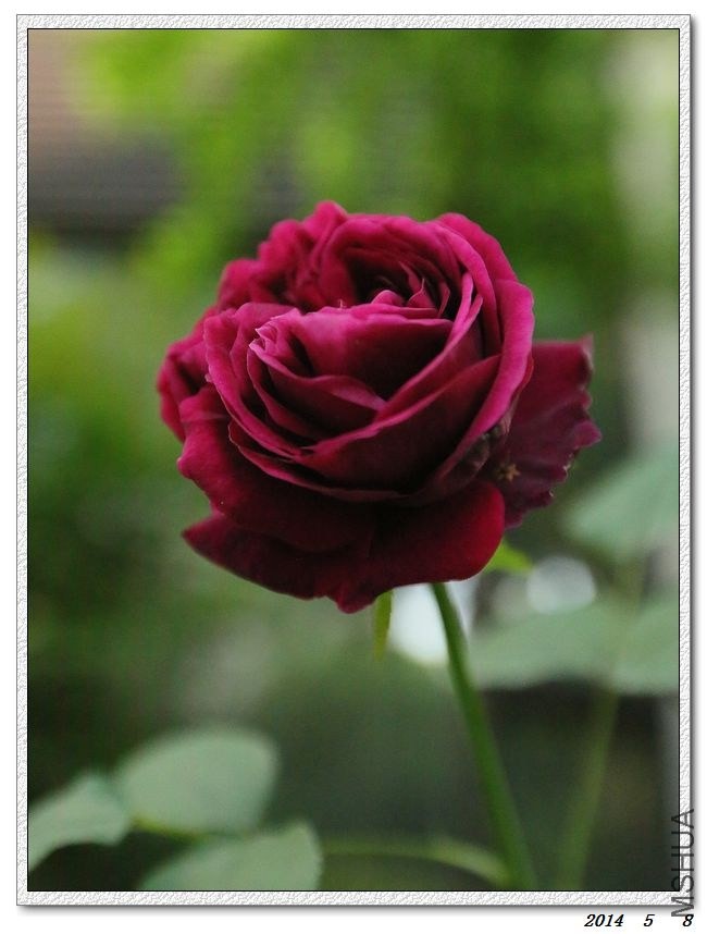 2014050806.jpg