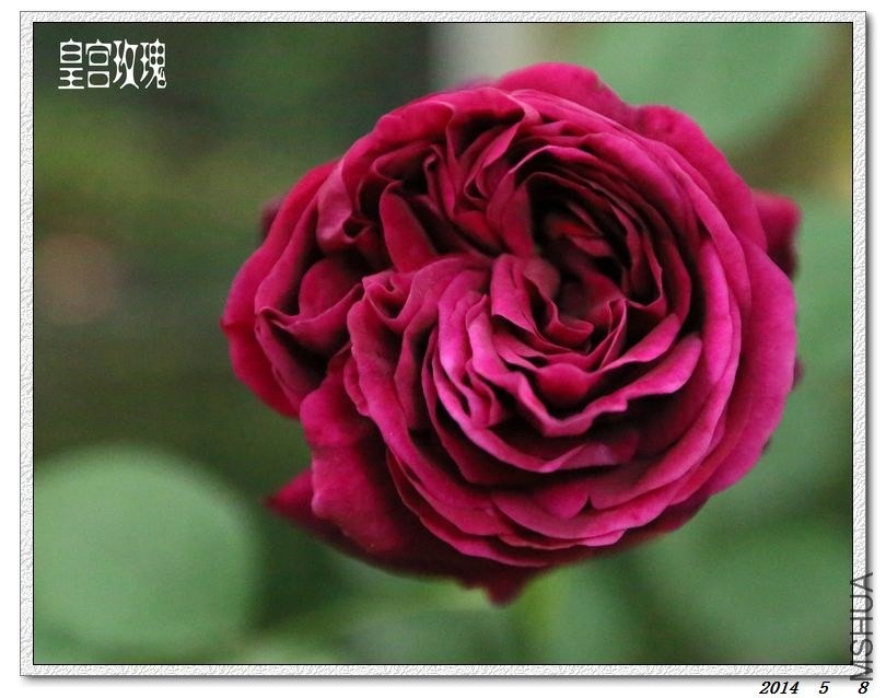 2014050808.jpg