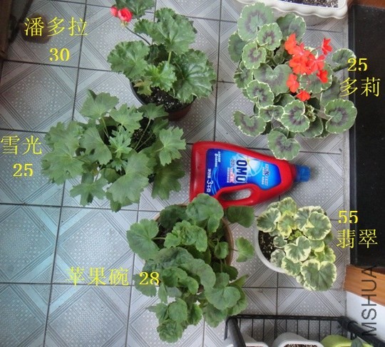 150.jpg