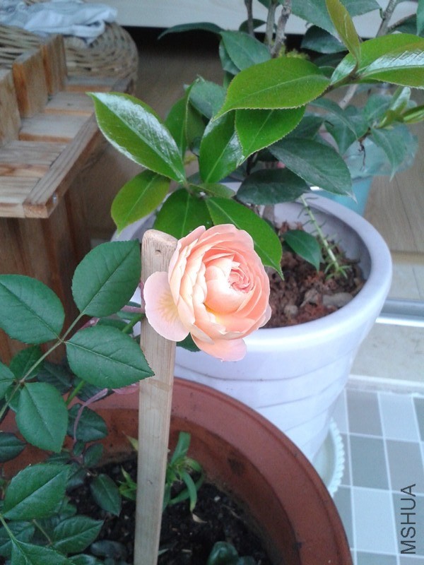 20140509_065300_����.jpg