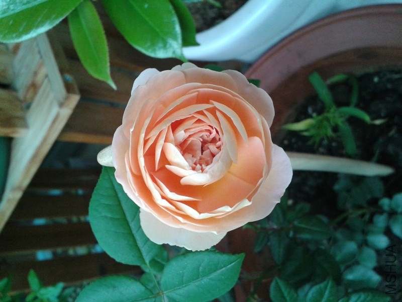 20140509_065243_����.jpg