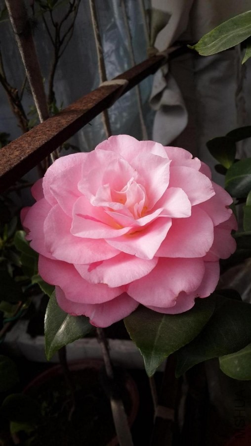 ����׼���İ�