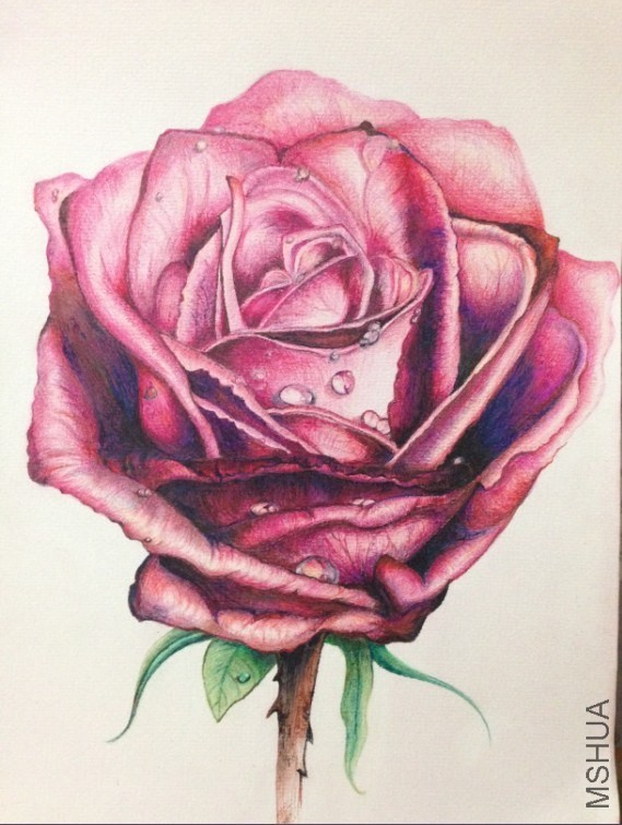 QQͼƬ20140509100253.jpg