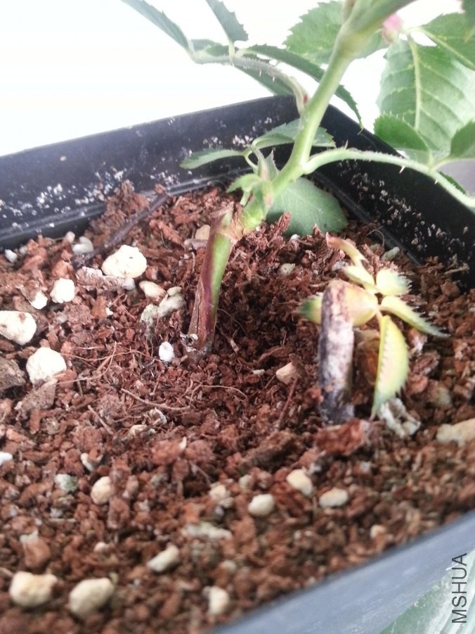 20140508_175948_Android_����.jpg