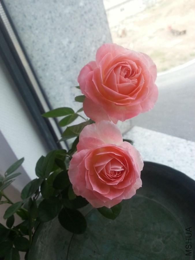 20131005_160713_����.jpg