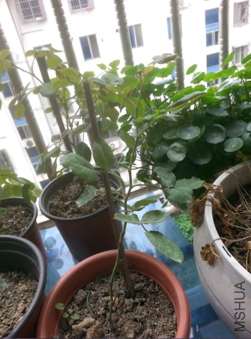 QQ��ͼ20140509132519.jpg