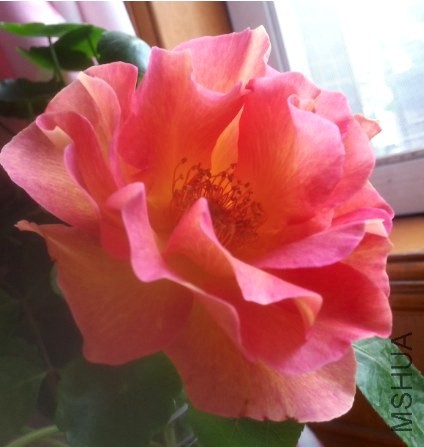 QQ��ͼ20140509132300.jpg