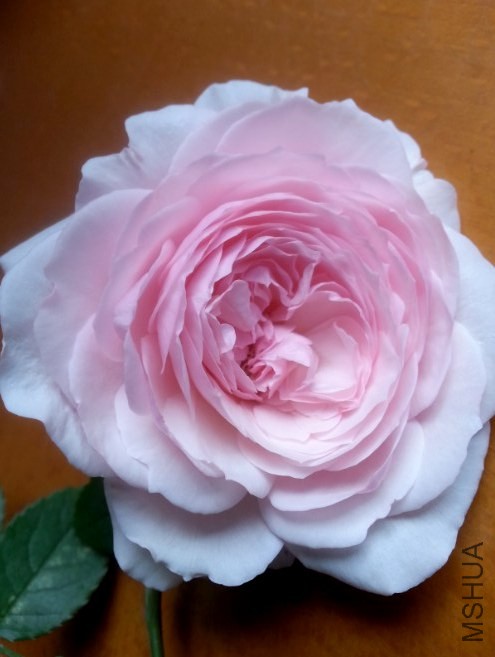 QQ��ͼ20140509132543.jpg