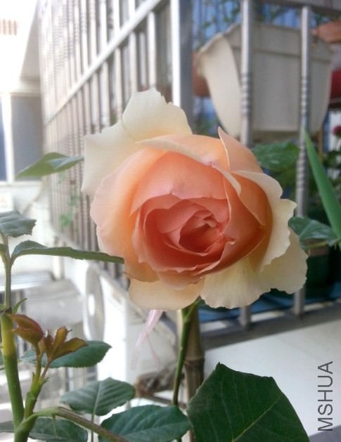 QQ��ͼ20140509132641.jpg