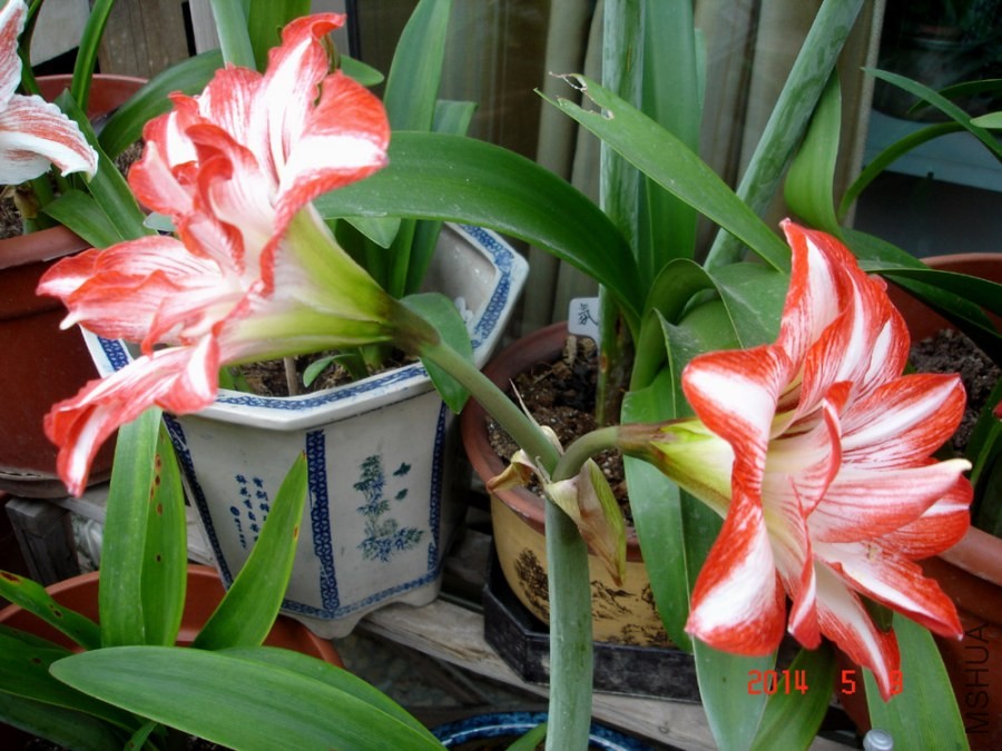 �ذ�07a.jpg
