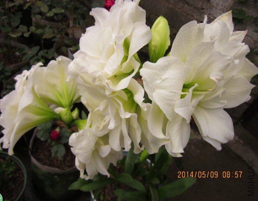 QQͼƬ20140509174002.jpg