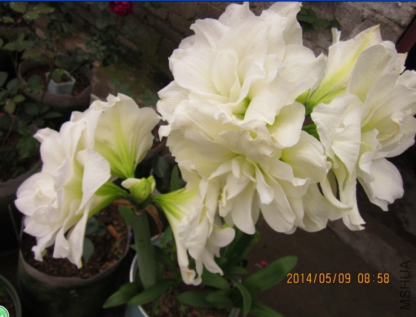 QQͼƬ20140509174009.jpg