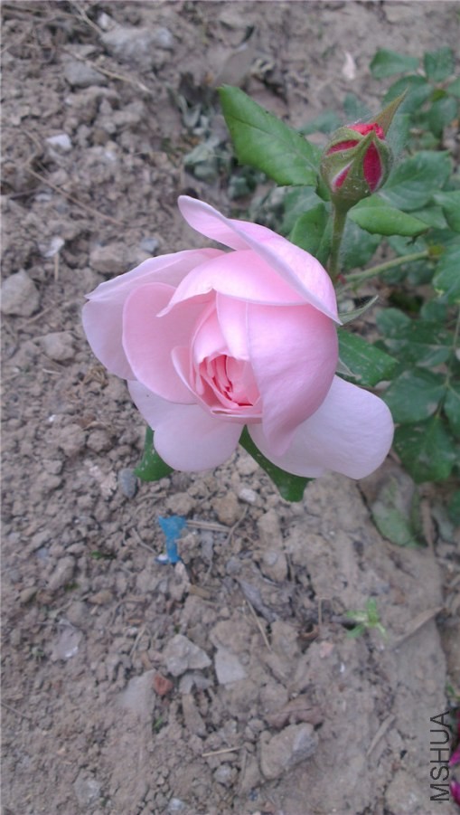 �Ⱥ��꺬������