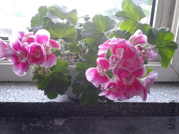 2014-05-04 16.07.35_����.jpg