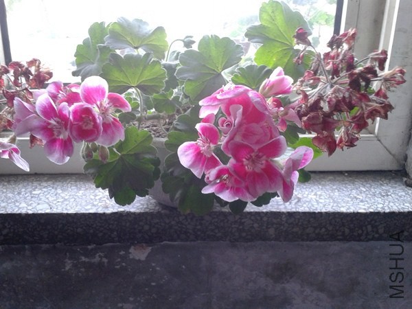 2014-05-04 16.06.16_����.jpg