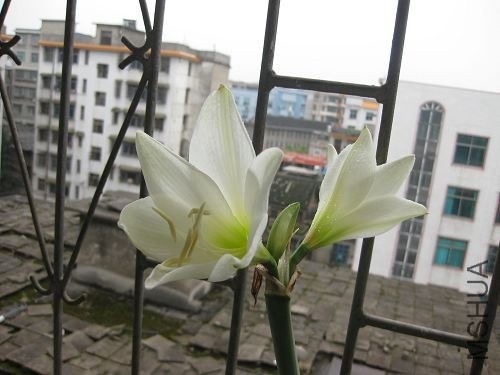 ��Ƭ2014 116.jpg