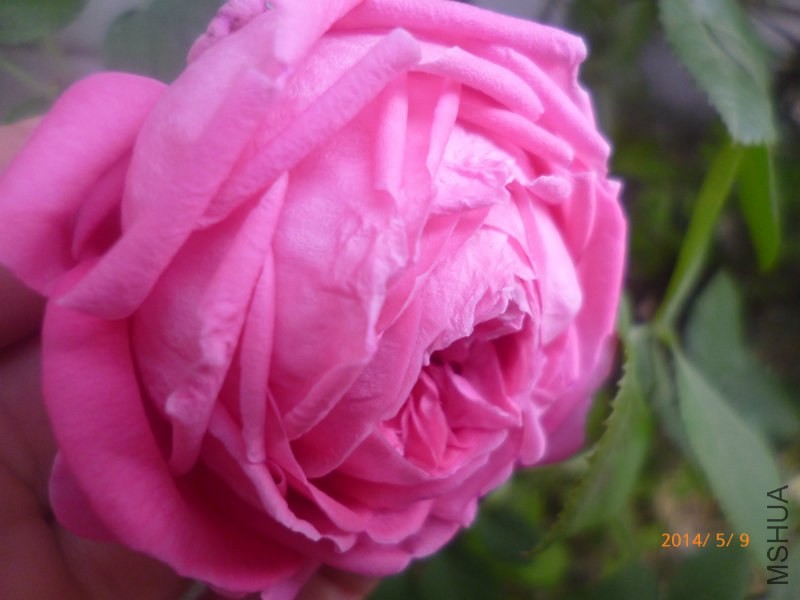 �ҵ�����ع⣬ʵ����ɫ���⻹��һ��