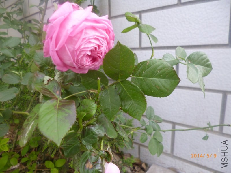 2345_image_file_copy.jpg