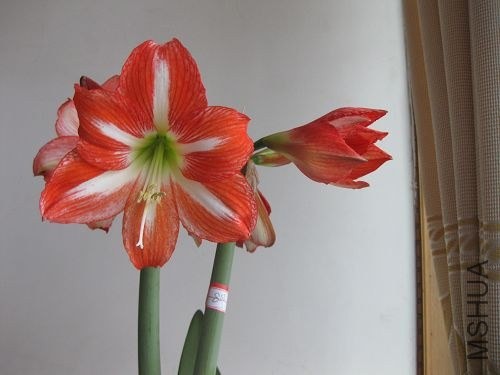 ��Ƭ2014 094.jpg