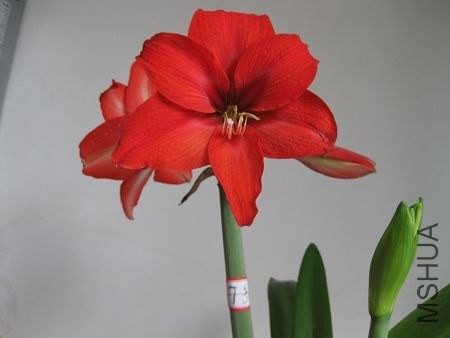��Ƭ2014 090.jpg