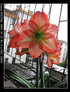 nEO_IMG_��Ƭ2014 085.jpg