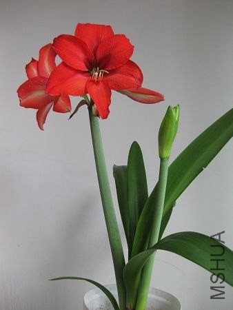 ��Ƭ2014 089.jpg