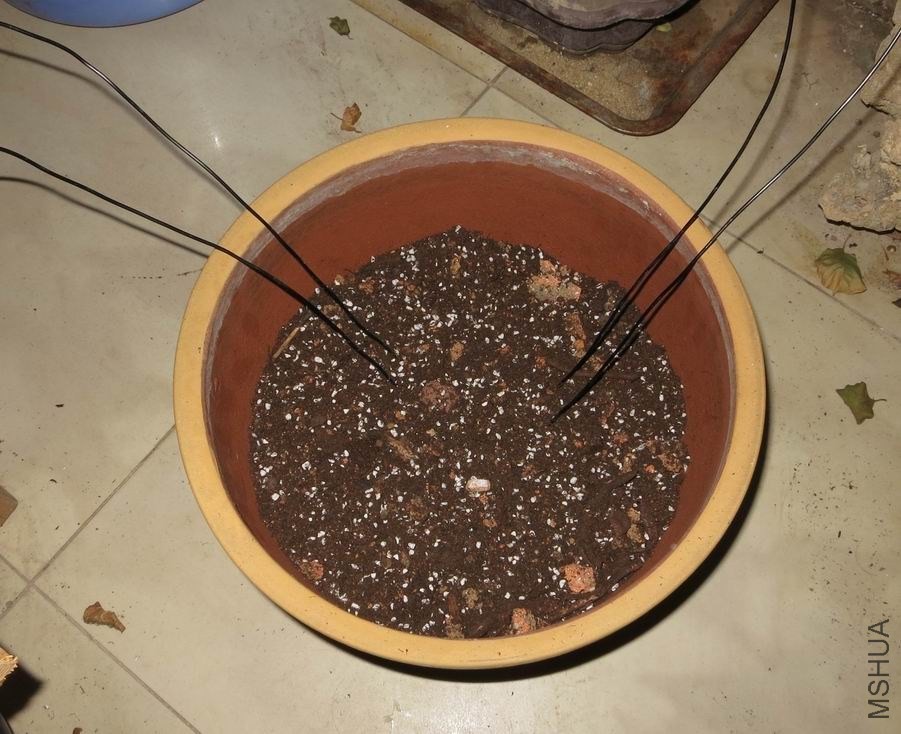 ϴ�� (13).jpg