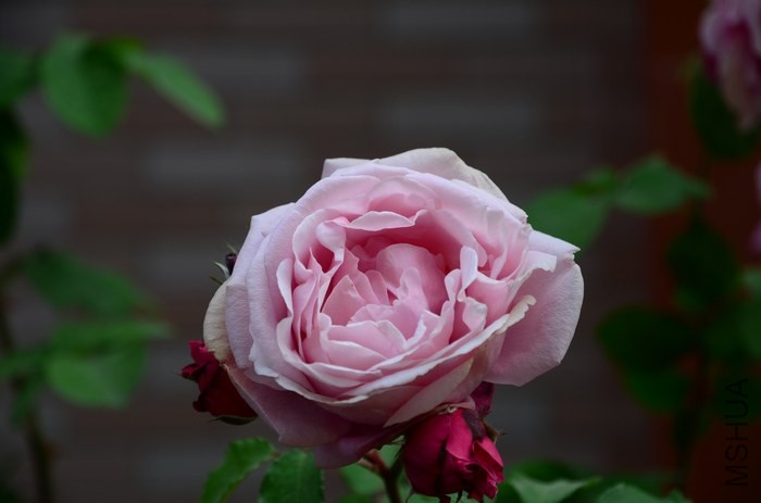 DSC_7629.jpg