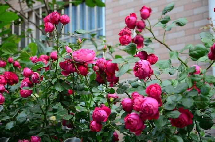 DSC_7634.jpg