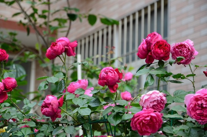 DSC_7635.jpg