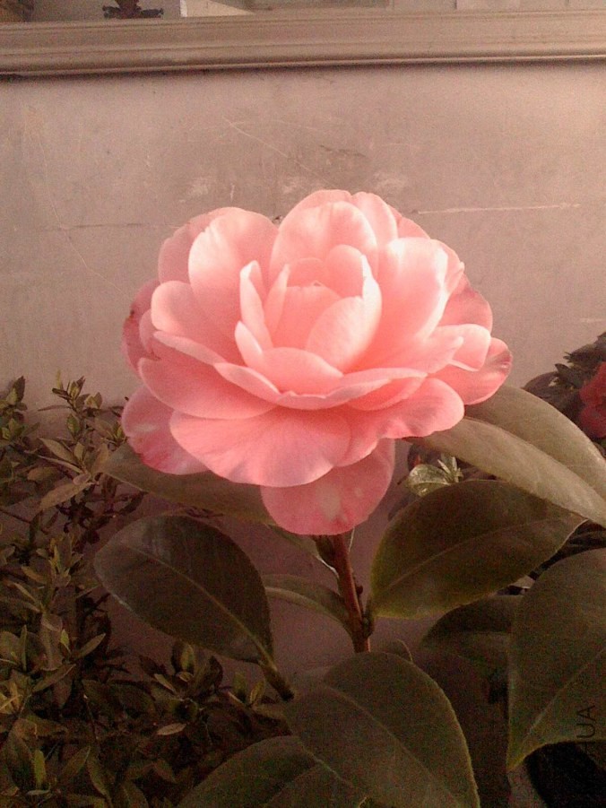IMG0304172602_����.jpg