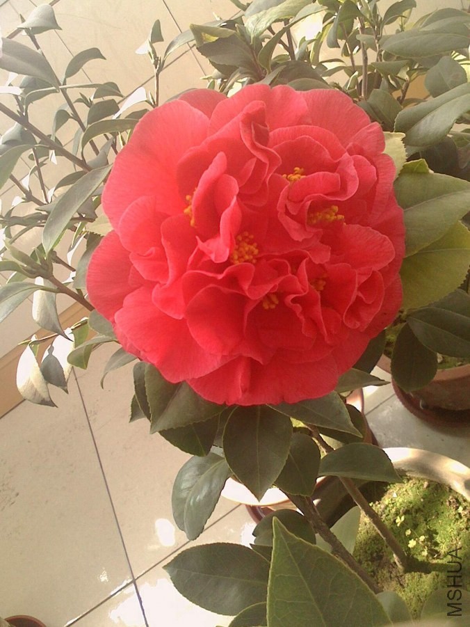 IMG0322103200_����.jpg