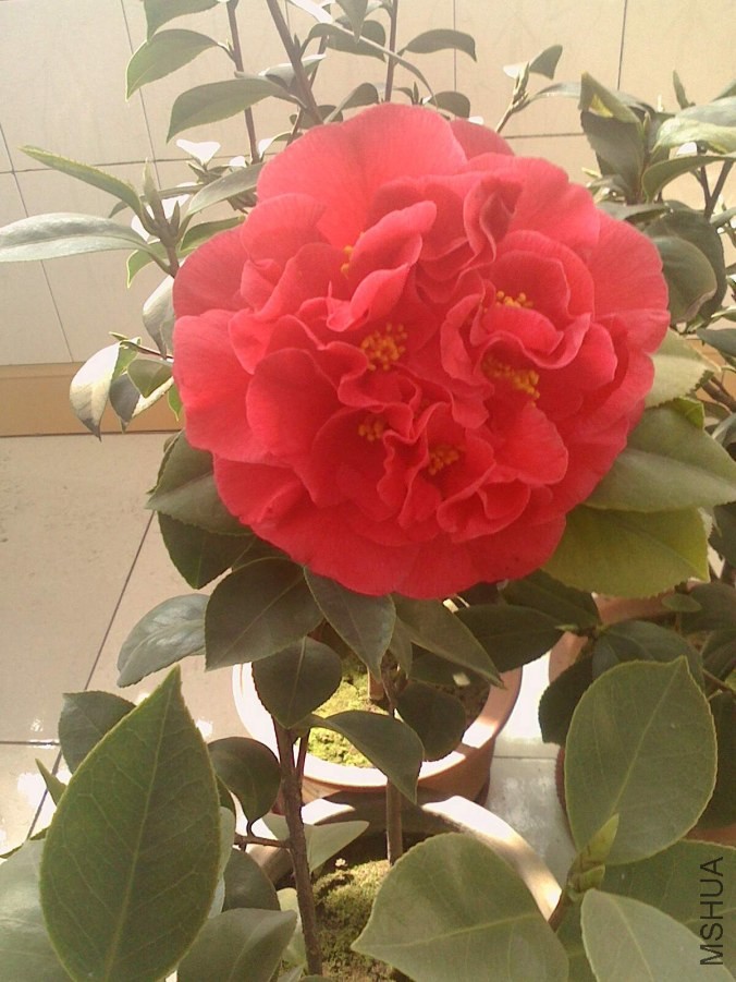IMG0322103201_����.jpg