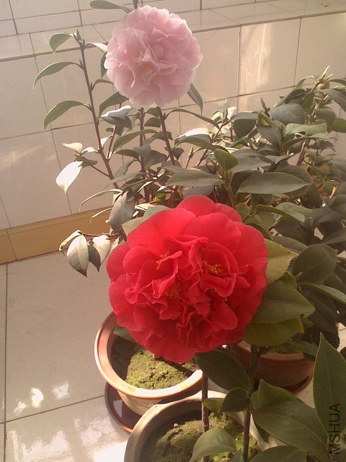 IMG0322103300_����.jpg