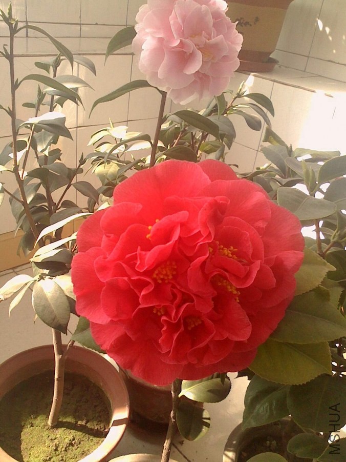 IMG0322103400_����.jpg