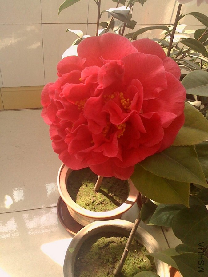 IMG0322103401_����.jpg